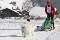 Lenk 2012 SM